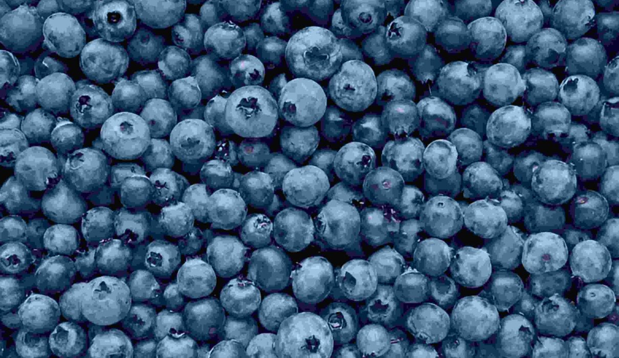 Blue Fruits