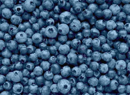 Blue Fruits